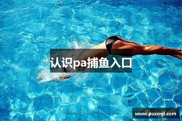认识pa捕鱼入口